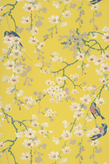  Massingberd Blossom - Yellow 